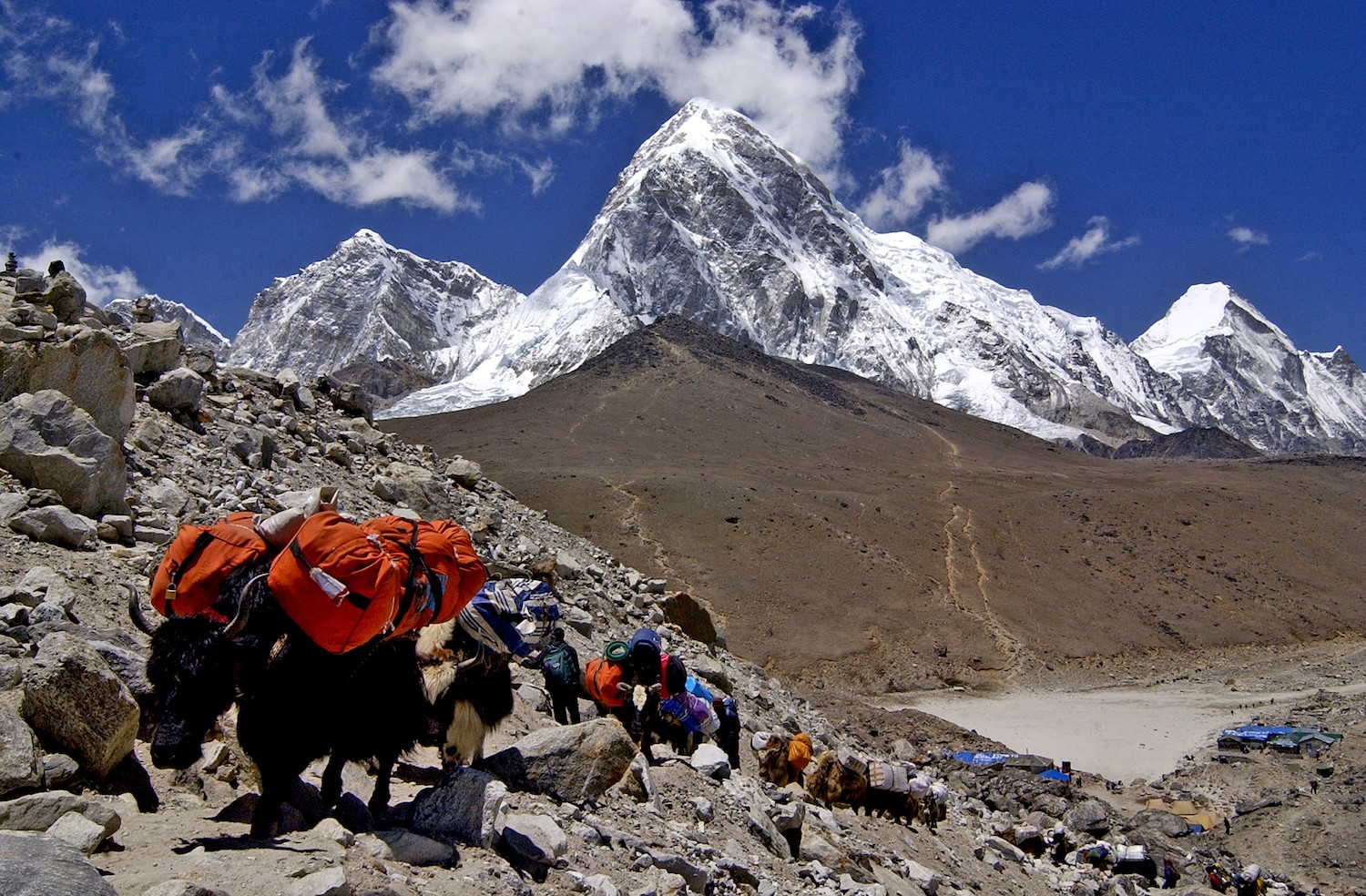 Unveiling the Roof of the World