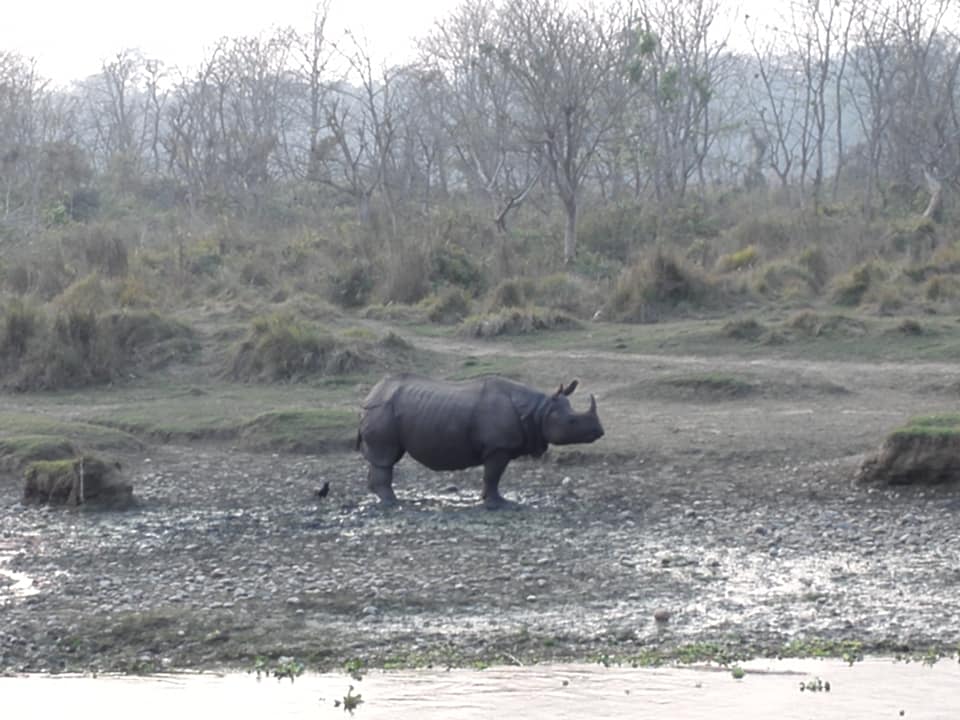 Chitwan National Park  Tour
